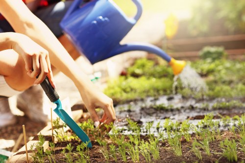 Beautiful garden in Piara Waters showcasing professional gardening services