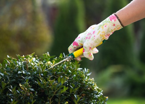 Beautifully landscaped garden designed by a professional gardener in Dandenong South