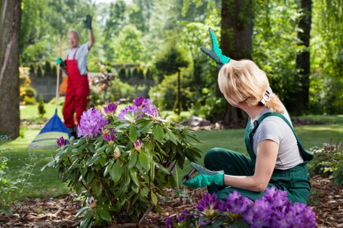 Professional gardener tending a lush Glebe garden
