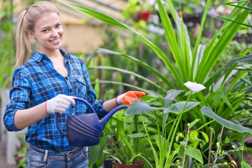 Seasonal maintenance by a professional gardener in Dolls Point