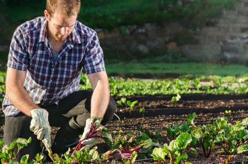 Sustainable gardening practices in Hamilton