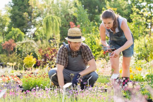 Professional gardener designing a landscape in Alfords Point