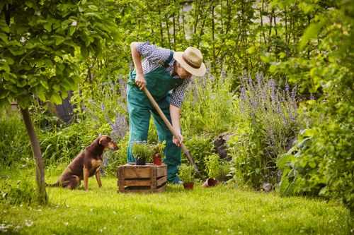 Professional gardener designing a landscape in Fig Tree Pocket
