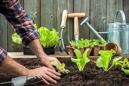 Chelmer gardener installing an irrigation system