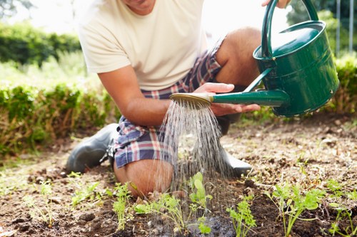 Professional gardening services in Potts Point