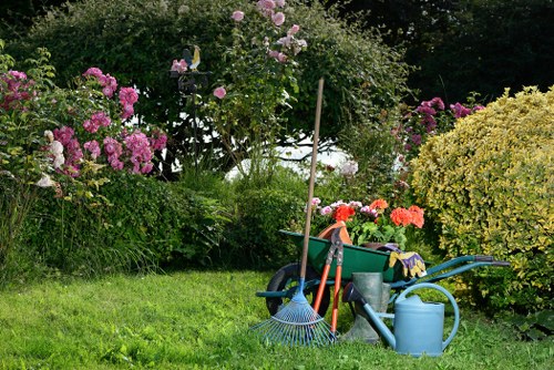 Lush green garden landscape