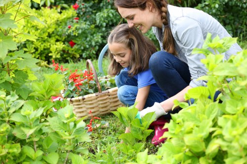 Expert gardener working in a Balcatta backyard