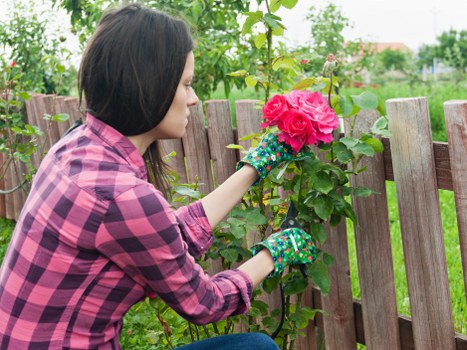 Healthy, vibrant plants in a Grace Gardeners garden