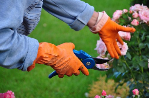 Expert gardener maintaining a lush garden
