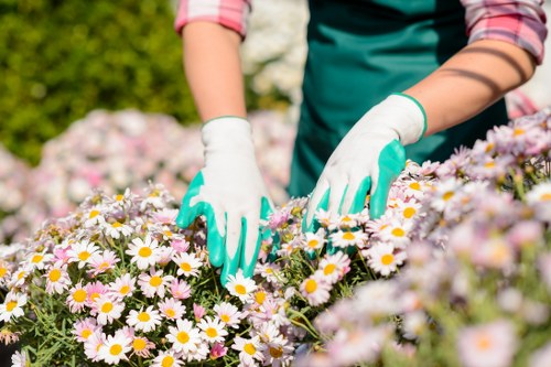 Eco-friendly gardening practices by a Dolls Point gardener