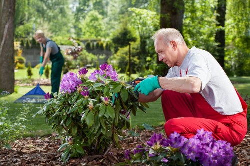 Advanced lawn mowing equipment used by Grace Gardeners