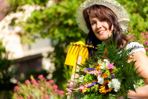Lush green lawn maintained by experts