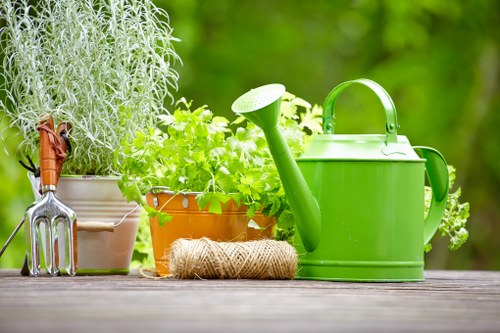 Custom garden design consultation in Mulgrave