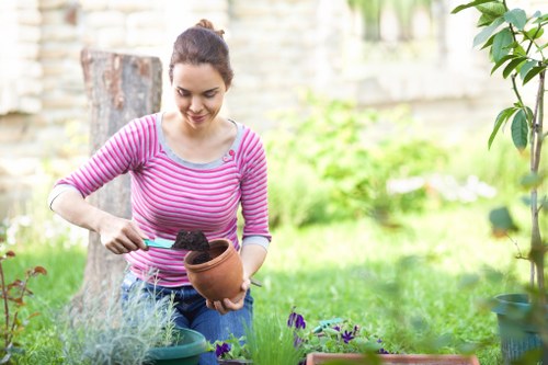 Professional garden design and landscaping services