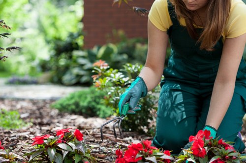 Efficient irrigation system installed by Kangaroo Point gardener