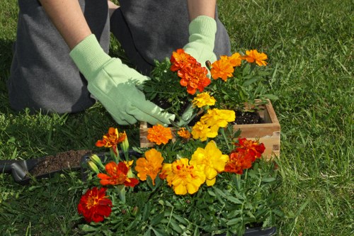 Professional gardener working on a vibrant landscape in Nunawading