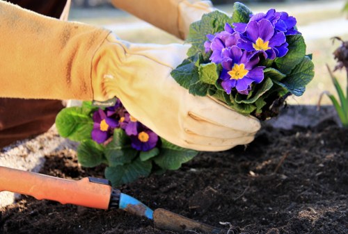 Seasonal garden care by a professional Ellenbrook gardener