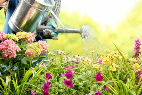 Irrigation system setup in a well-maintained Nunawading garden