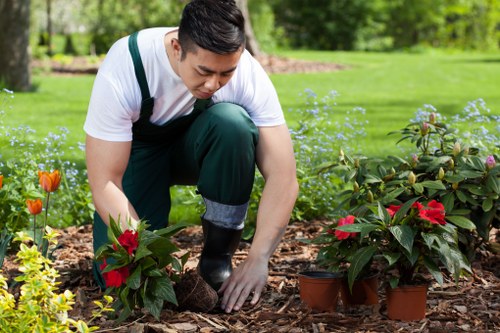 Gardener using tools for garden maintenance in Cannington
