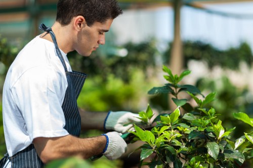 Expert gardeners maintaining a lush garden