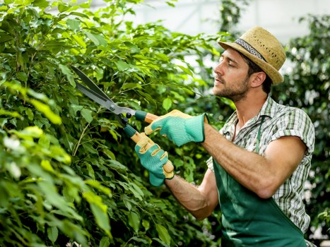 Seasonal gardening tips from Wentworth Point experts