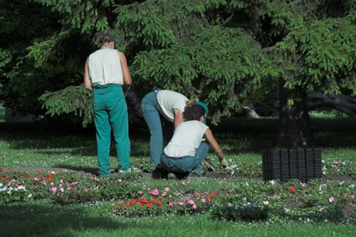 Healthy green lawn maintained by experts in Nunawading