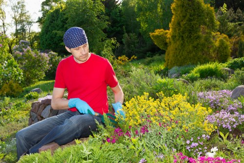 Gardening tools and plants arranged neatly in Woodlands