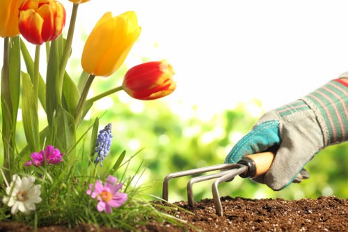 Expert garden maintenance services in Deepdene