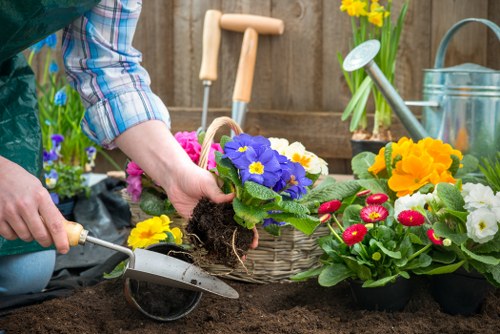 Various gardening tools and plants