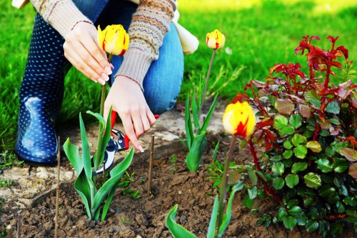 Lush green lawn maintained by Keilor Downs gardening service