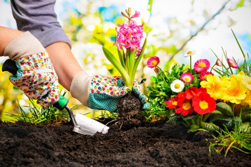 Sustainable gardening practices being implemented in a community garden.