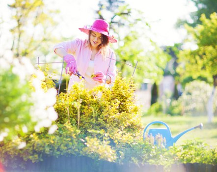 Healthy plants in a well-maintained garden