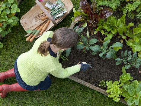 Gardening tools and plants managed by a St Lucia gardener