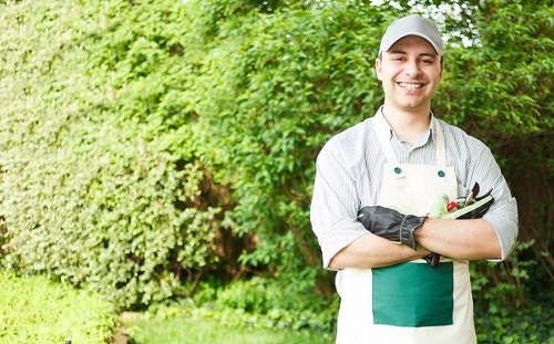 Seasonal garden maintenance services