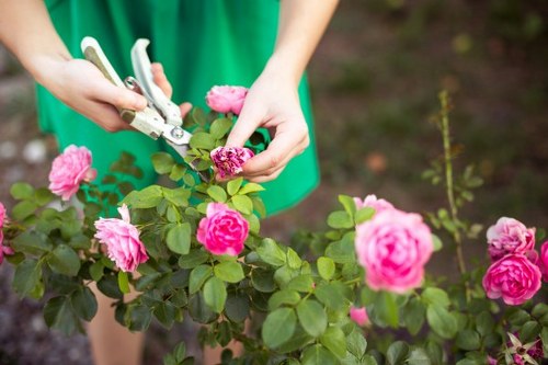 Gardener trimming and shaping shrubs in Ferntree Gully