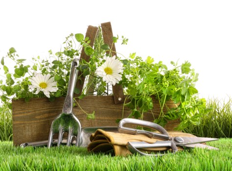 Team of gardeners working in a residential garden