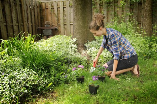 Local gardener working on lawn care in Milsons Point