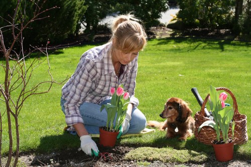 Eco-friendly gardening practices in Cronulla