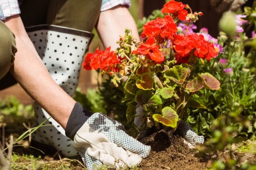 Creative garden transformation by Mooroolbark experts