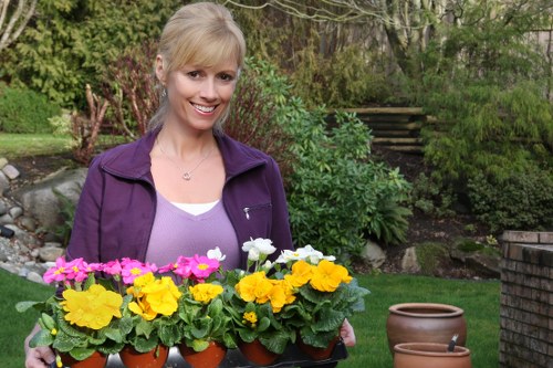 Professional gardener working in a Bull Creek backyard