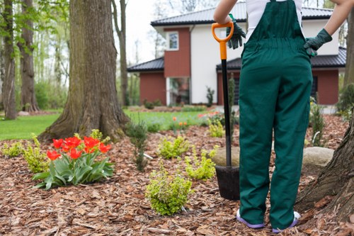 Eco-friendly gardening practices in Eltham North