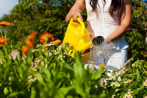 Commercial garden clearance services