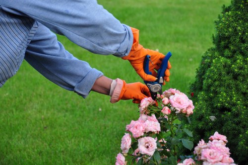 Professional gardener maintaining a Fawkner lawn