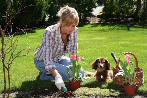 Sustainable gardening practices