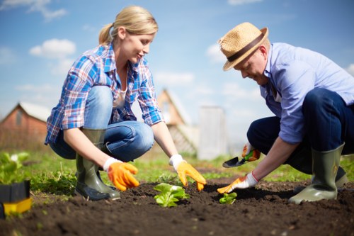 Gardener selecting plants for a Fitzroy garden