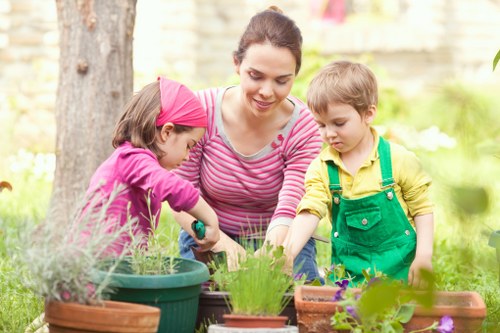 Professional garden design services