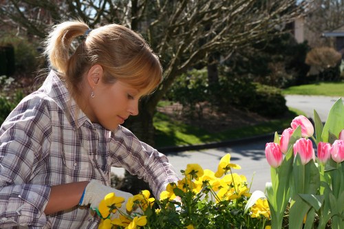Expert gardener tending to plants in a Woodlands garden