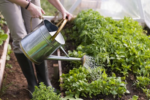 Professional gardener in Mount Hawthorn planting flowers