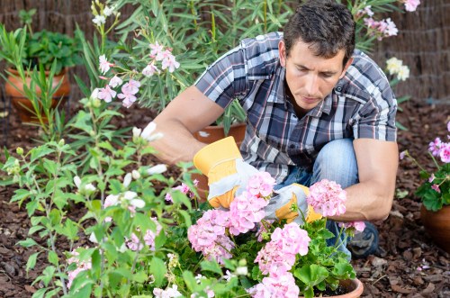 Experienced gardeners maintaining a lush lawn