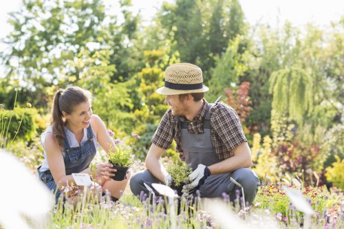 Cost breakdown chart for gardening services in Como